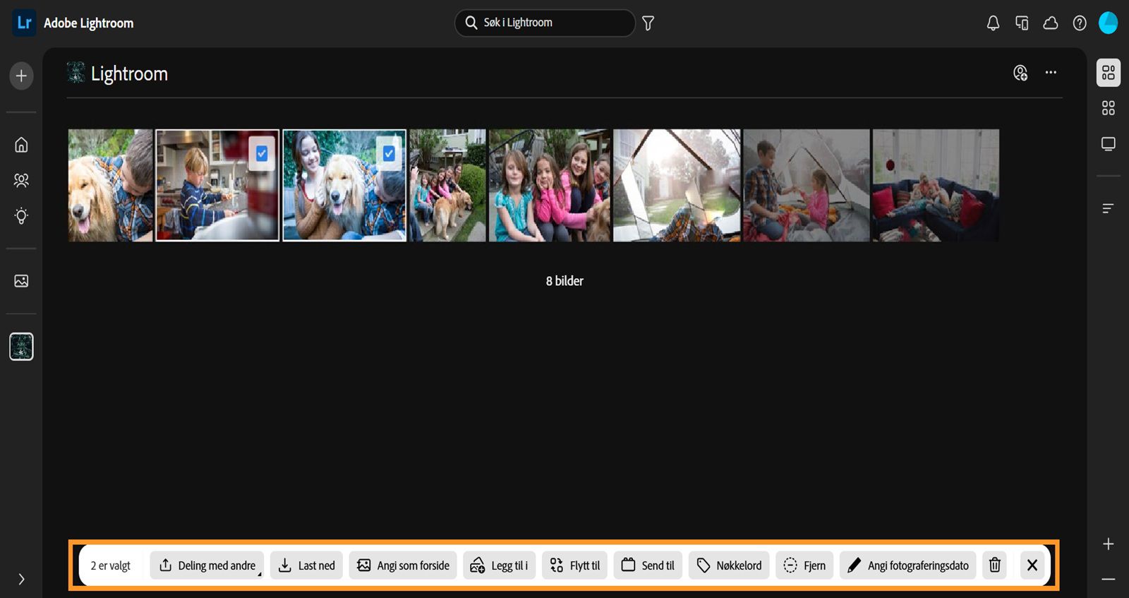 To bilder er valgt i delt album-visningen, og i et blått felt finner du alternativer for å dele, laste ned, angi som forside, legge til i, gå til, sende til, lage søkeord, fjerne og slette.