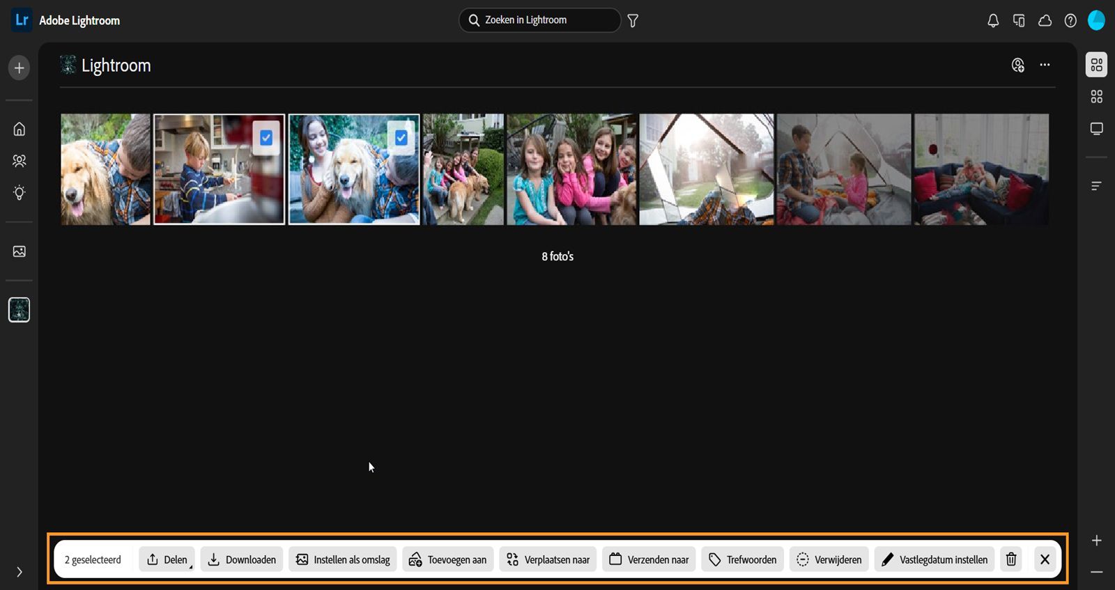 In de weergave Gedeelde albums zijn twee afbeeldingen geselecteerd en is een blauwe balk gemarkeerd met opties voor verschillende acties zoals Delen, Downloaden, Instellen als omslagfoto, Toevoegen aan, Verplaatsen naar, Verzenden naar, Trefwoord, Verwijderen uit album en Verwijderen.