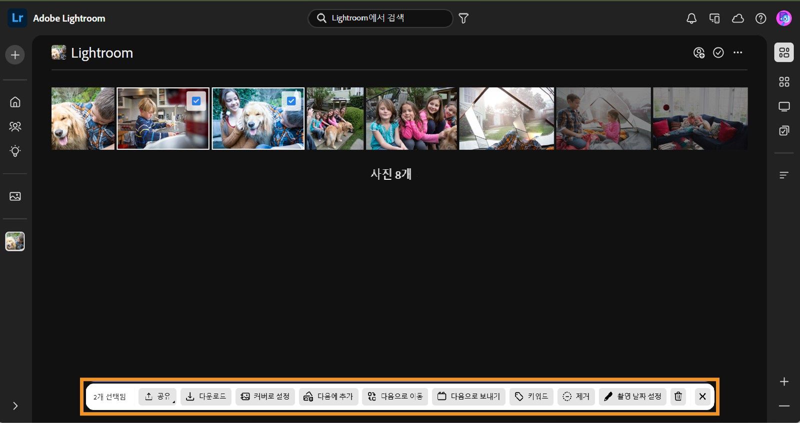 공유, 다운로드, 커버로 설정, 추가, 이동, 보내기, 키워드, 제거, 삭제 등의 작업 옵션이 있는 파란색 막대가 강조 표시된 공유 앨범 보기에 두 개의 이미지가 선택되어 있습니다.