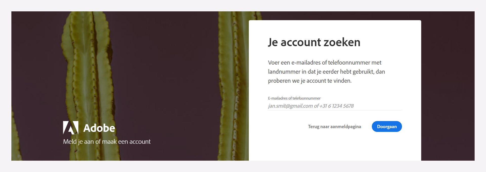 Voer uw geregistreerde e-mailadres of telefoonnummer in om uw account te vinden.