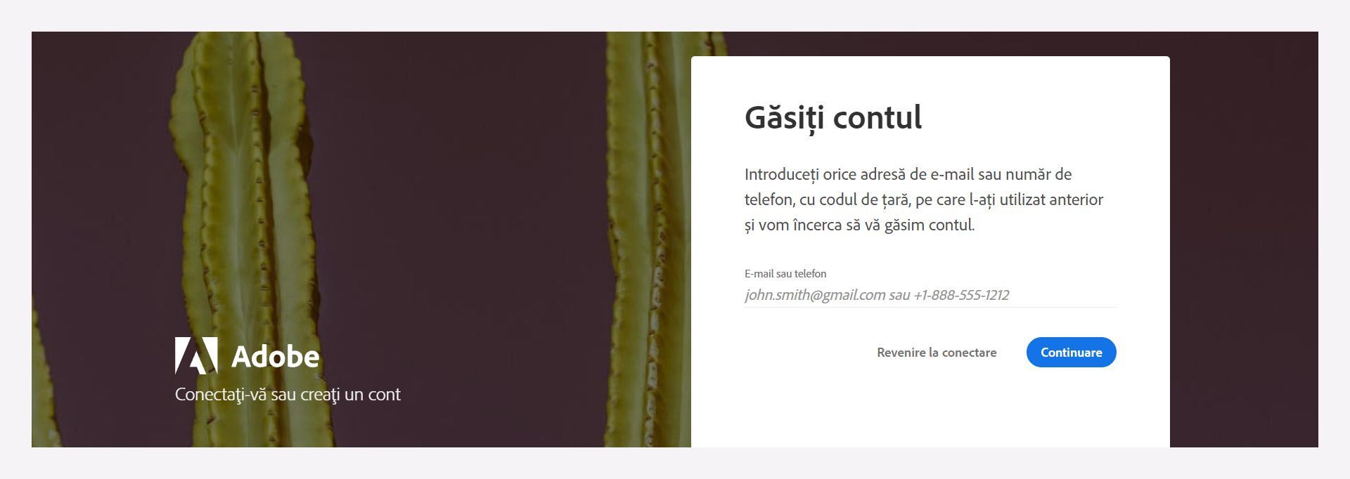 Introduceți adresa de e-mail sau numărul de telefon înregistrat pentru a vă găsi contul