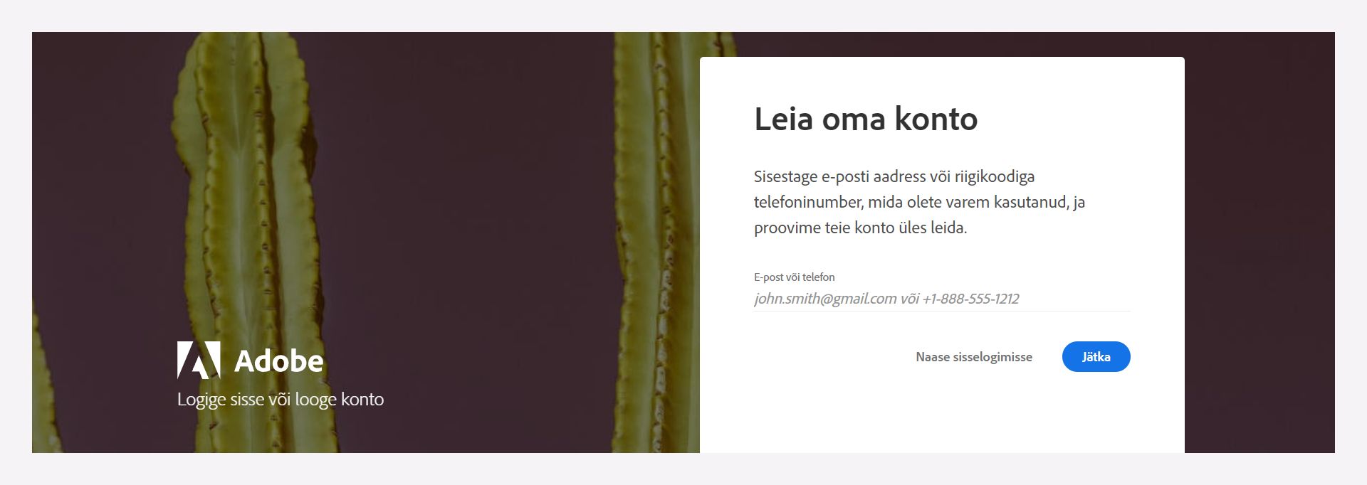 Oma konto otsimiseks tippige oma registreeritud meiliaadress või telefoninumber.