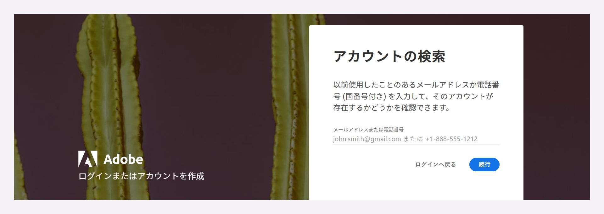 登録した電子メールアドレスまたは電話番号を入力して、アカウントを見つけます。