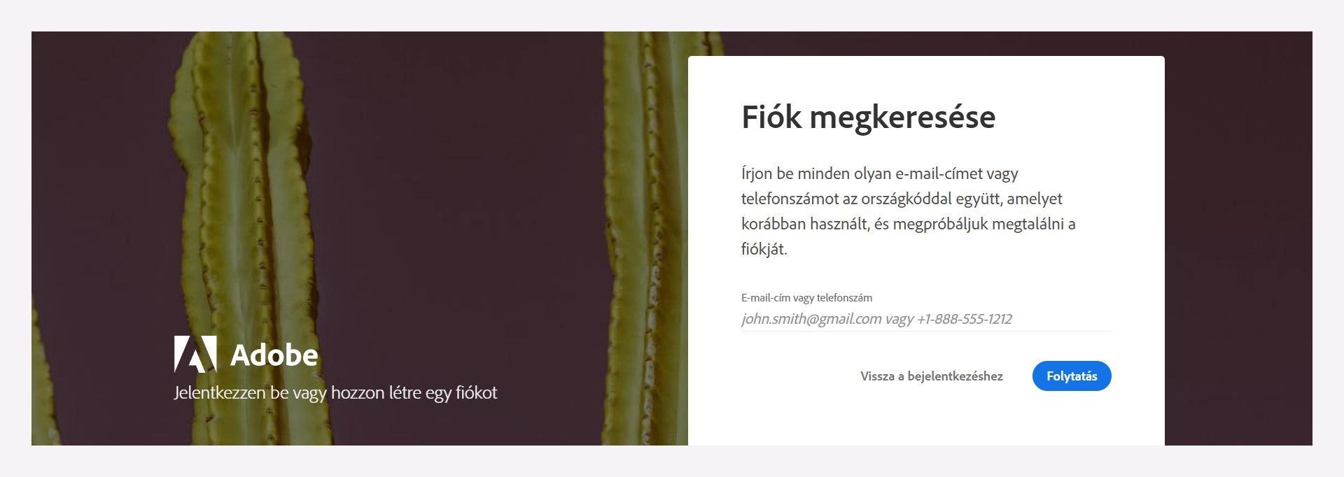 Fiókja megkereséséhez írja be a regisztrált e-mail-címét vagy telefonszámát.