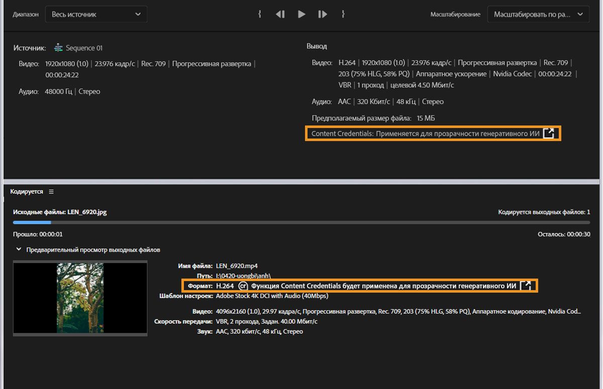 Окно экспорта с Content Credentials, выделенными в разделах «Выходные данные» и «Предварительный просмотр выходных файлов».