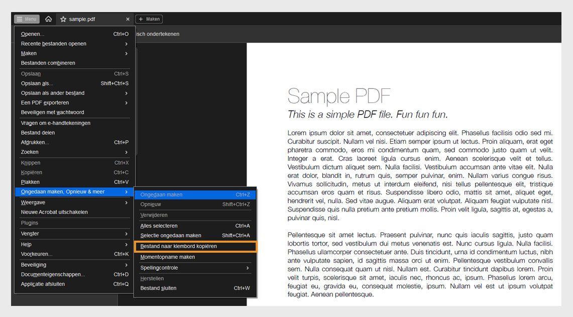 In het menu Ongedaan maken, Opnieuw uitvoeren en meer is de optie Bestand naar klembord kopiëren gemarkeerd.