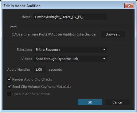 Dialogfeld „Adobe Audition“