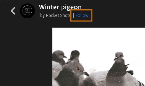 Lightroom na komputery