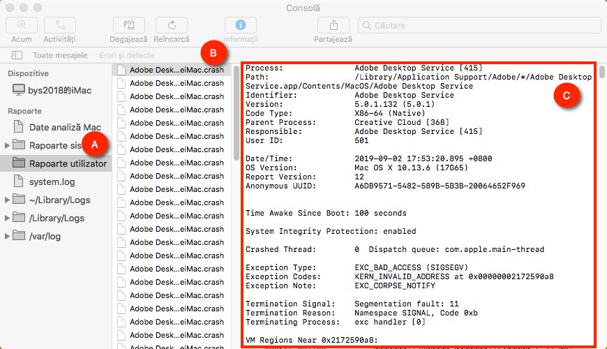 Rapoarte de utilizator