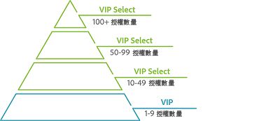 VIP 金字塔