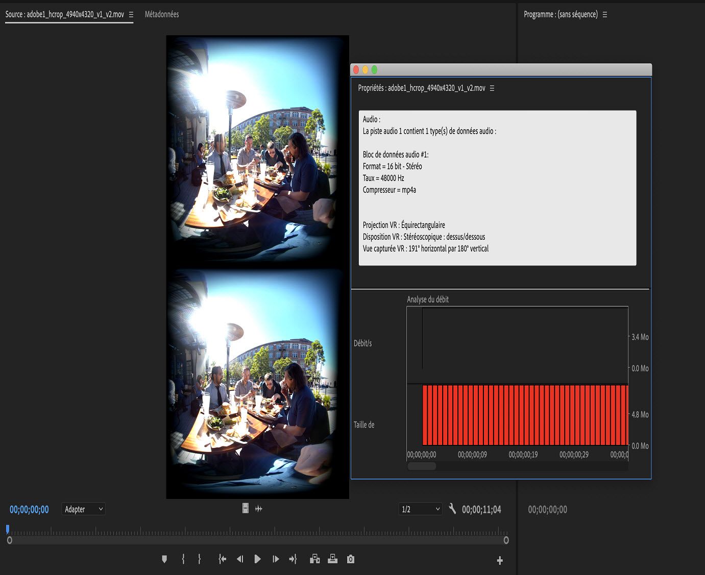 Détection automatique des propriétés VR