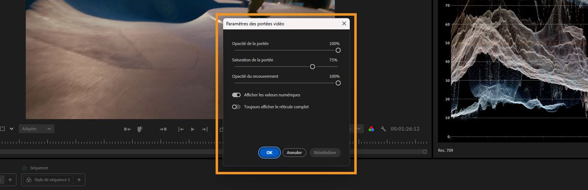 Panneau Paramètres des moniteurs vidéo montrant les options pour l'opacité, la saturation et les commandes des calques.