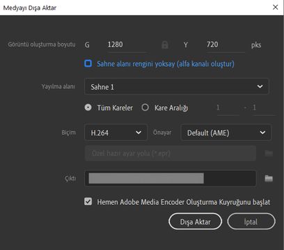 Video dışa aktarma