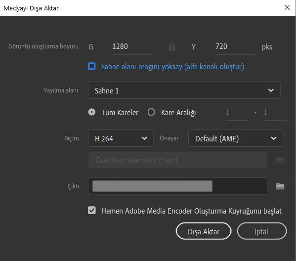 Video dışa aktarma
