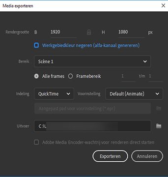 Video over exporteren