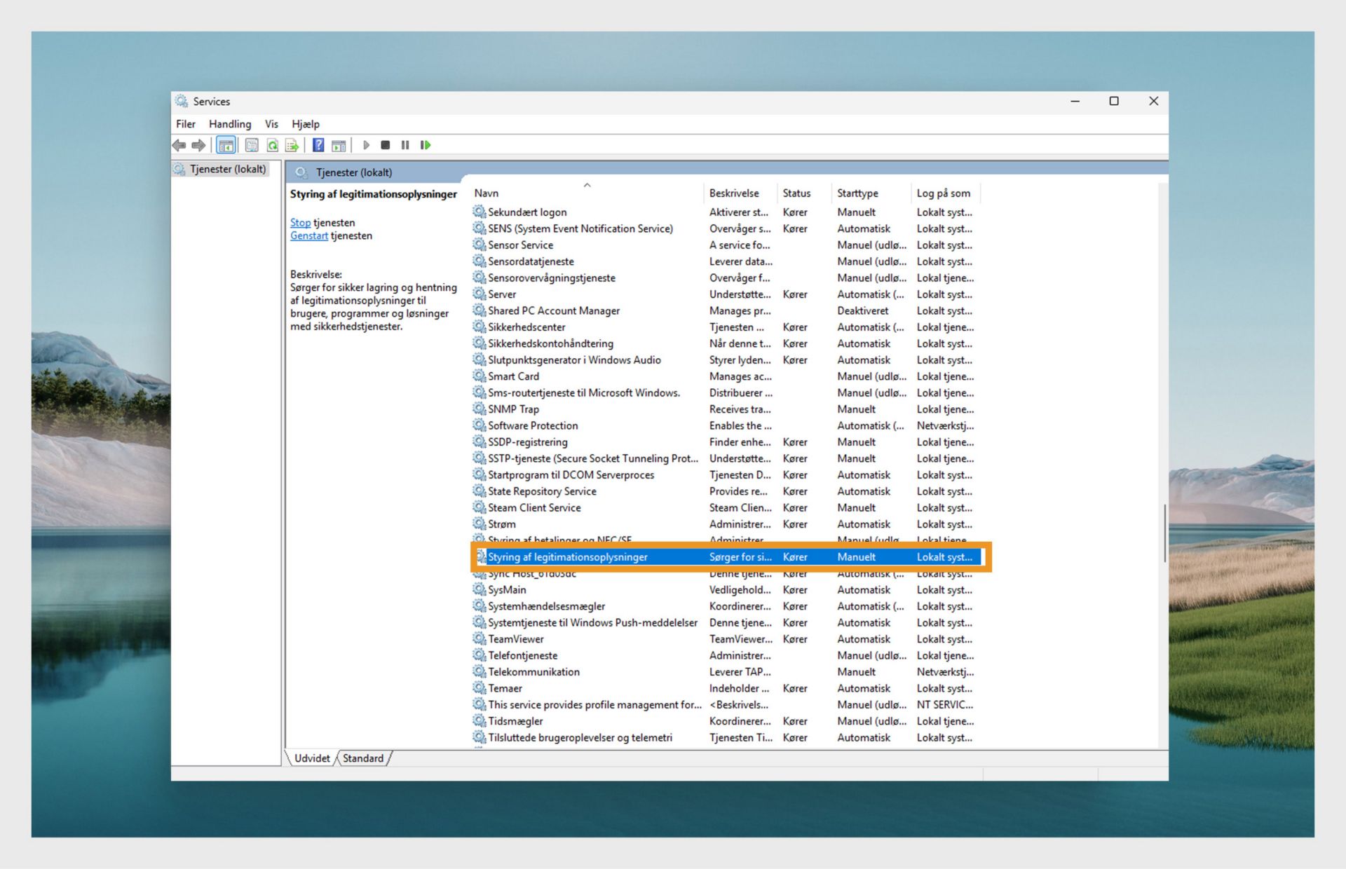 Vinduet Windows Services Manager viser en liste over tjenester.