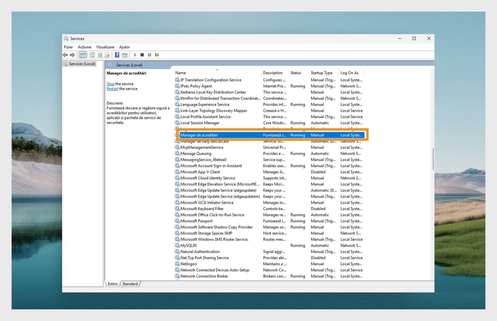 Fereastra Managerului de Servicii Windows afișând o listă de servicii.