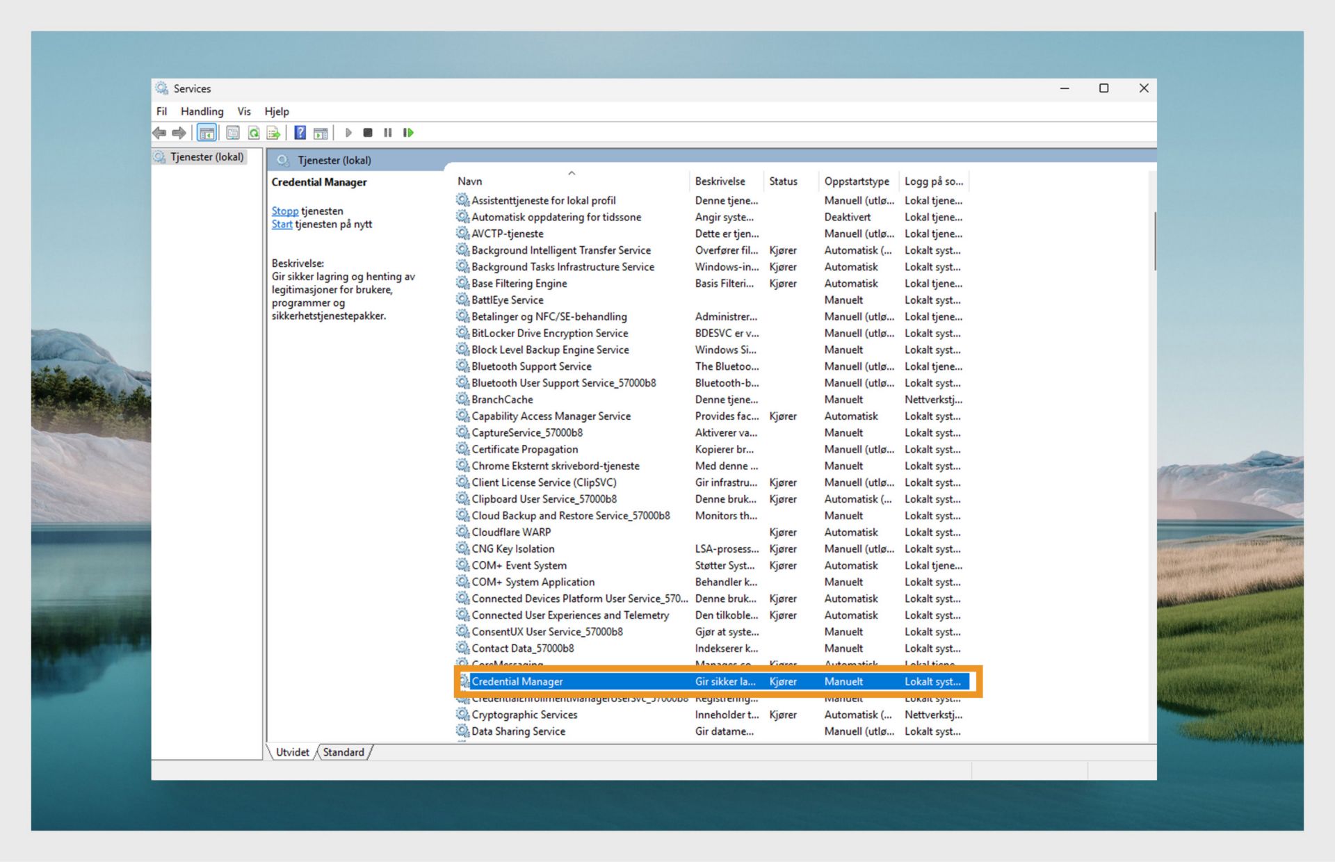 Tjenestebehandling-vinduet i Windows viser en liste over tjenester.