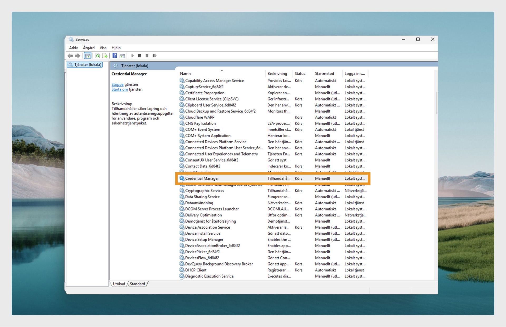 Fönstret för Windows tjänstehanterare som visar en lista över tjänster.