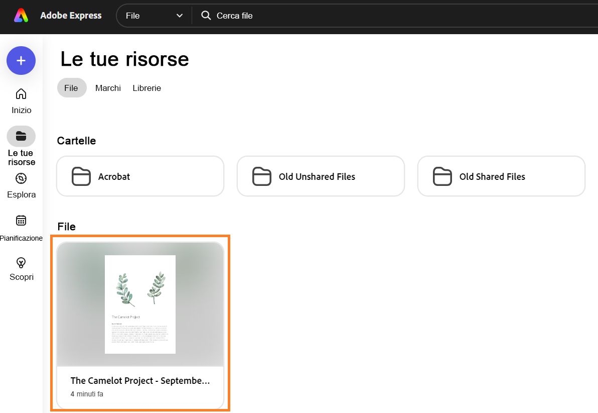 Posizione dell’immagine in Express