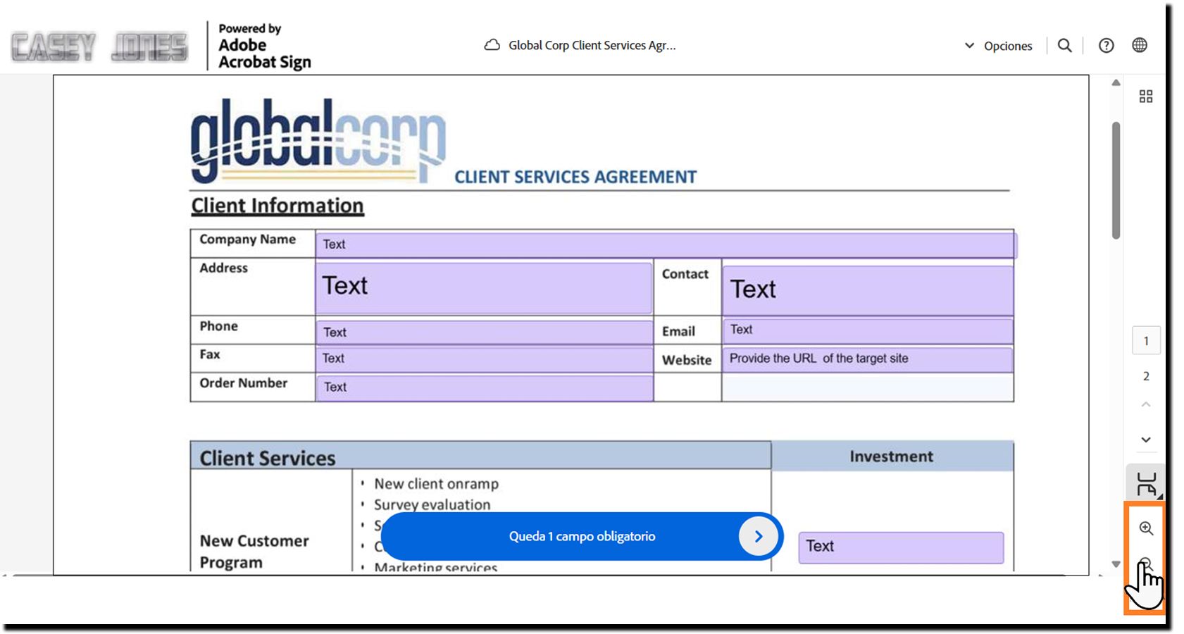 Página de firma electrónica que resalta los controles de ampliación de página en la parte inferior de la página.