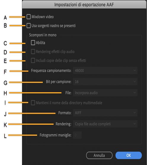 Impostazioni di esportazione AAF