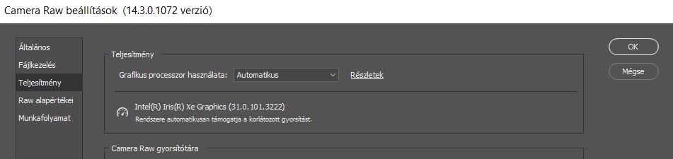 Camera Raw beállításainak megtekintése