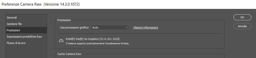 Visualizzate Preferenze Camera Raw