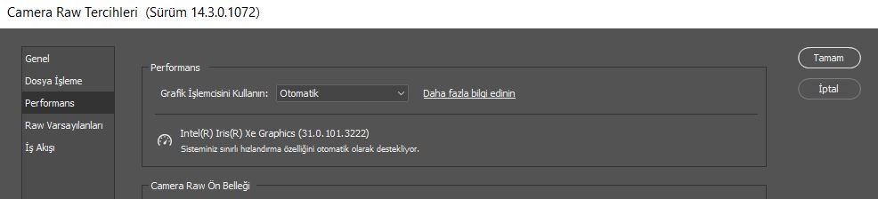 Camera Raw Tercihlerini Görüntüleme
