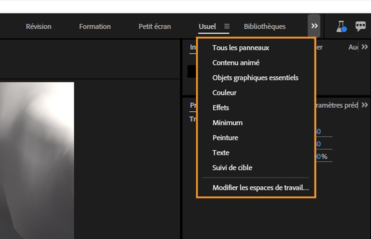 Le chevron répertorie des options telles que Bibliothèques, Animation, Objets graphiques essentiels, Effets, Couleur, Peinture, Texte et Suivi de mouvement.