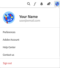 Account information shown on clicking on the profile icon in the corner at left side