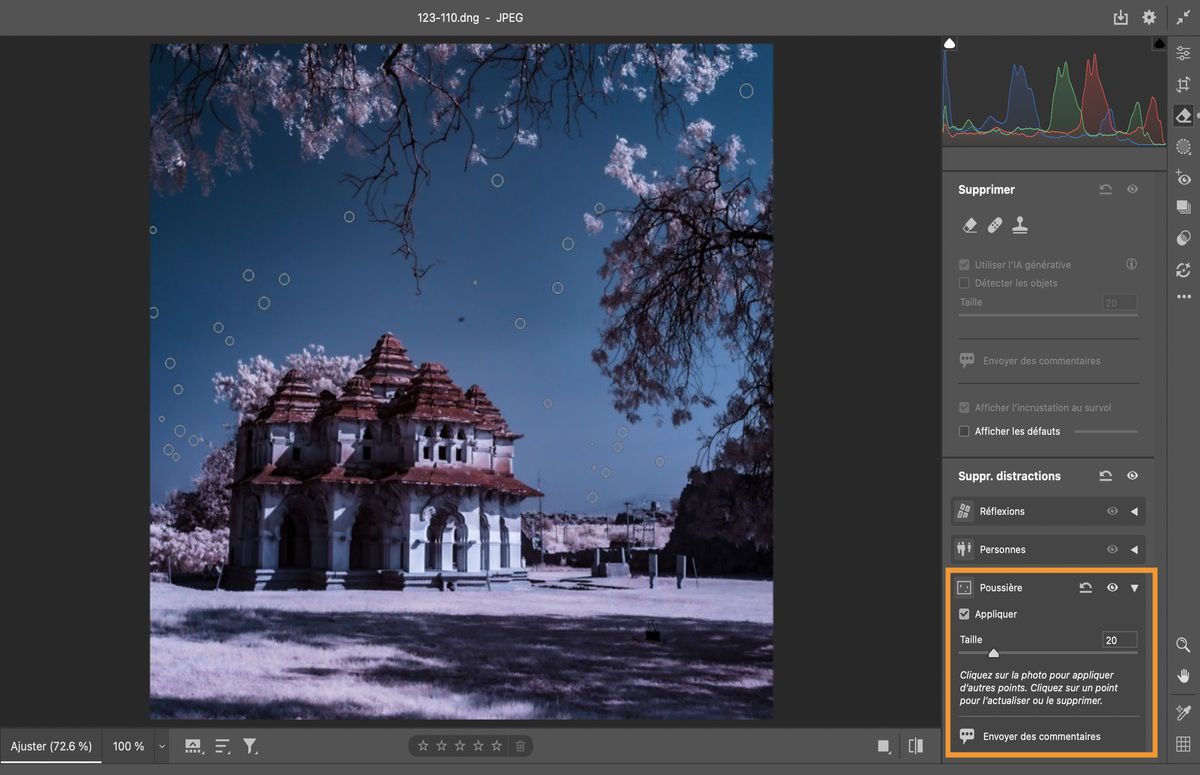 L’outil Suppression de la poussière est appliqué à une photo d’un bâtiment à dôme, d’arbres roses et d’un ciel bleu.