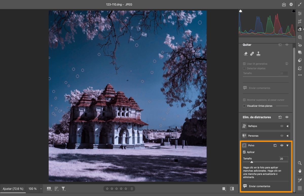 La herramienta Eliminación de polvo se aplica a la foto de un edificio con cúpula, árboles rosados y cielo azul.