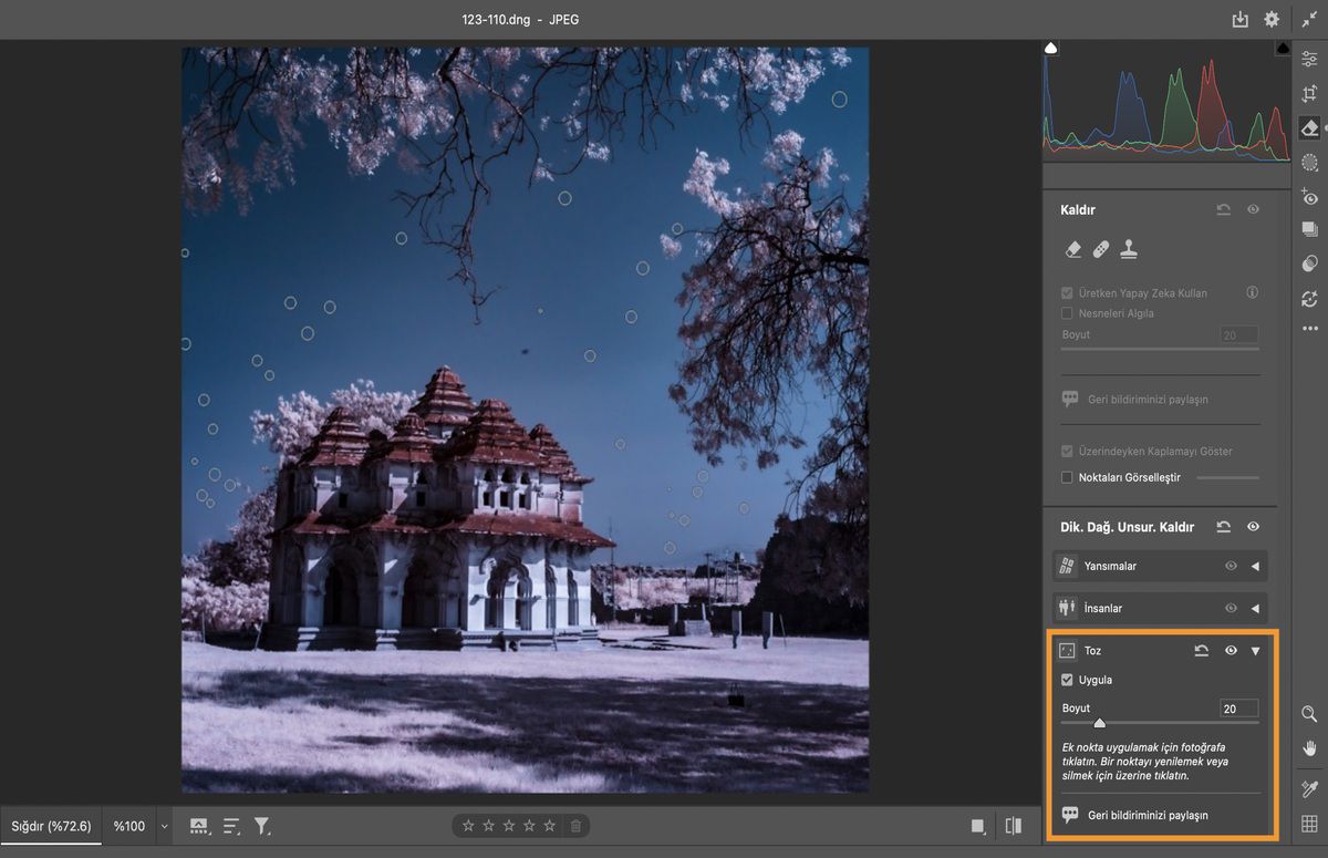 Toz giderme aracı kubbeli bina, pembe ağaçlar ve mavi gökyüzü fotoğraflarına uygulanır.