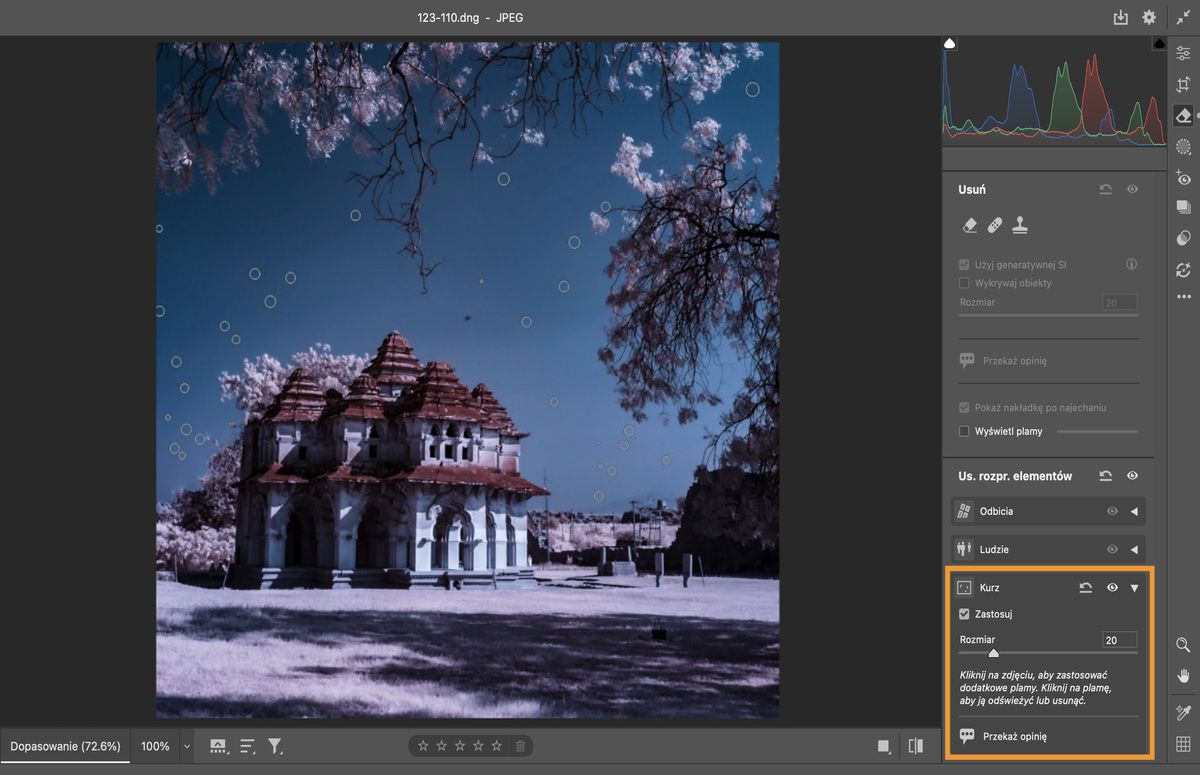 Narzędzie usuwania kurzu zostało zastosowane do zdjęcia budynku z kopułą, różowych drzew i błękitnego nieba.