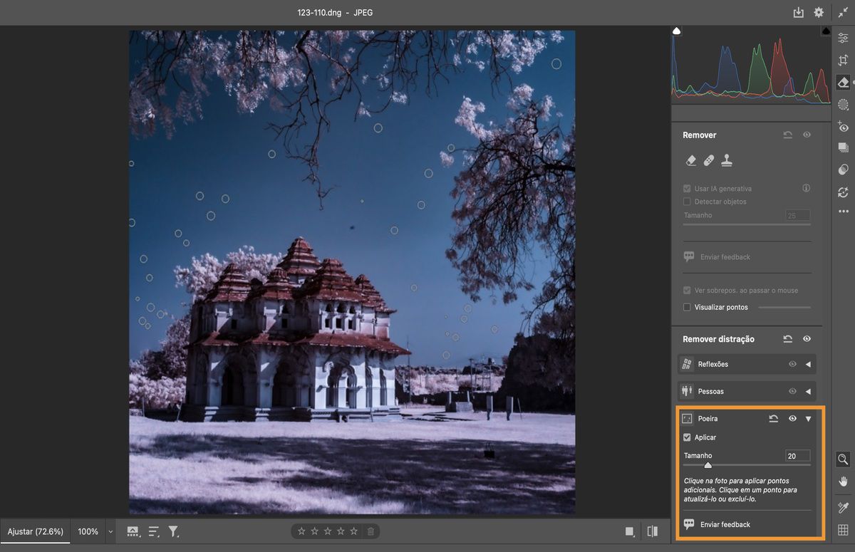 A ferramenta Remover poeira é aplicada à foto de um prédio abobadado, árvores cor-de-rosa e céu azul.