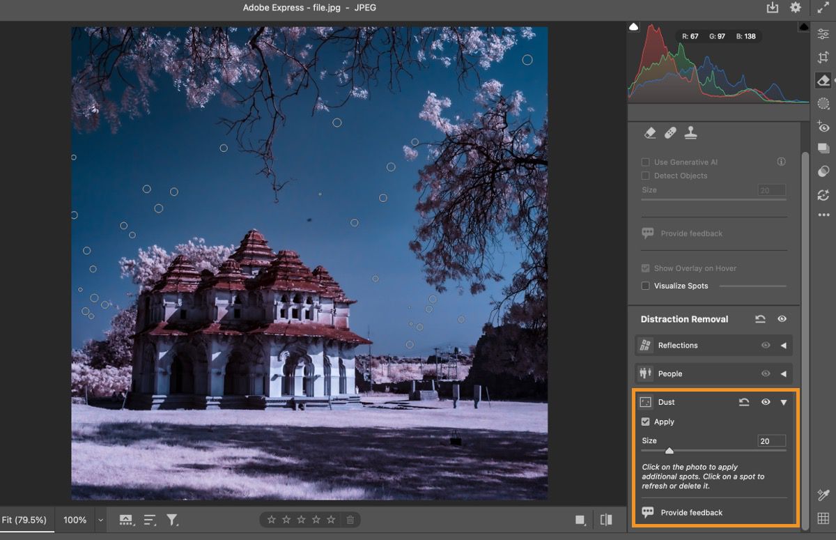 The Dust removal tool Dust Removal tool is applied to photo of domed building, pink trees, and blue sky.