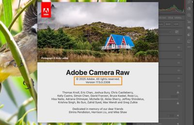 Informazioni sulla schermata di Adobe Photoshop Camera Raw che contiene i dettagli del team e della versione di Camera Raw. 