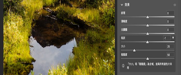「效果」面板中的「顆粒」滑桿。