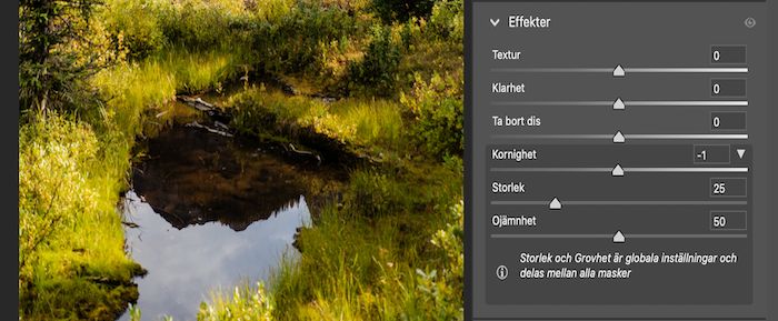 Skjutreglaget Kornighet på panelen Effekter.