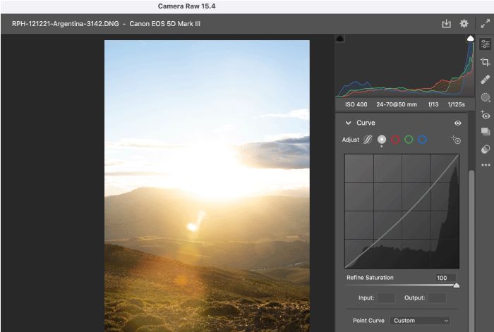 Refine Saturation slider set at 100 (by default) in Point Curve. 