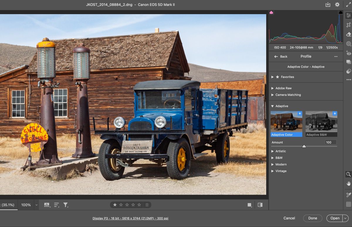 Adobe Camera Raw profile options