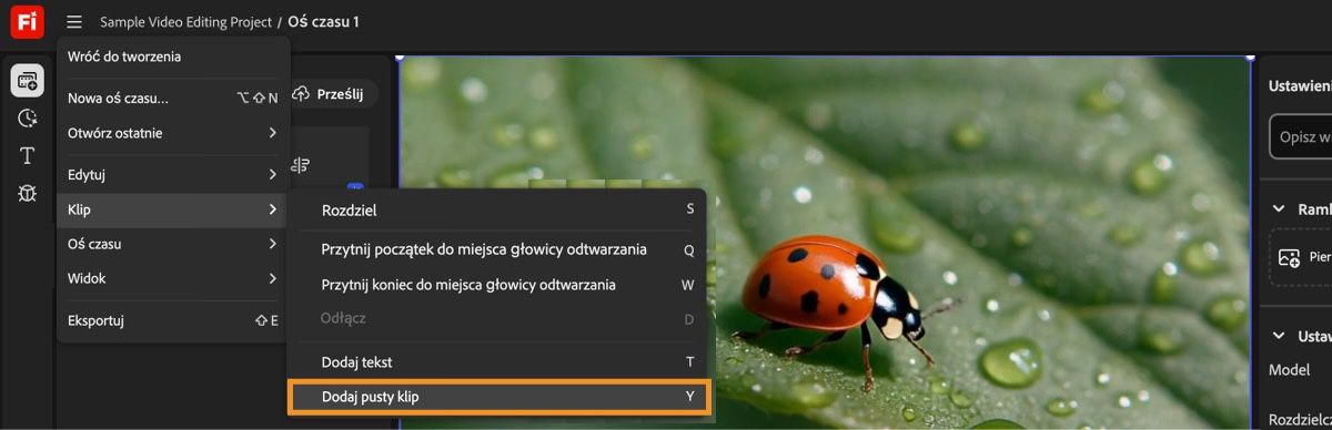 Umieść wskaźnik odtwarzania w linii czasu w miejscu, w którym chcesz dodać pusty klip, a następnie wybierz opcję Dodaj pusty klip z menu Klip.