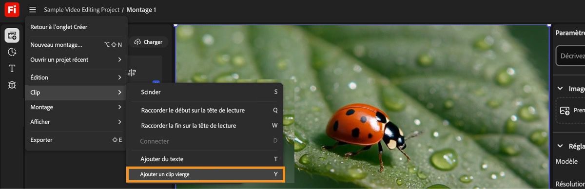 Placez la tête de lecture dans le montage où vous souhaitez ajouter un clip vierge et sélectionnez Ajouter un clip vierge dans le menu Clip.