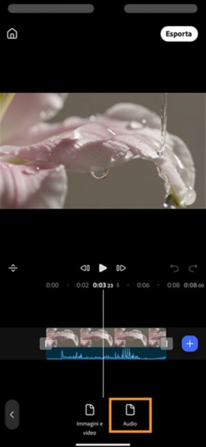 Tocca Audio per sfogliare il telefono alla ricerca di un file musicale o sonoro da aggiungere al progetto.