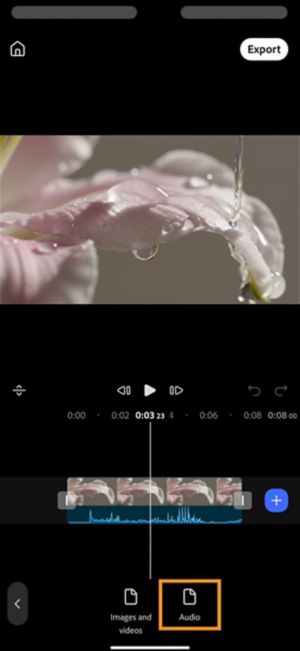 Tap Audio to browse your phone for a music or sound file to add to the project.