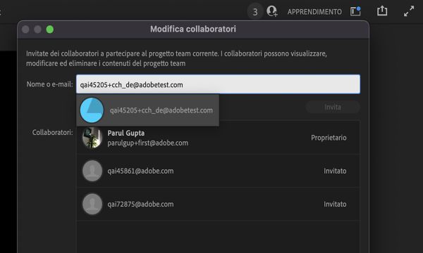 Utilizzare il segno + per invitare collaboratori a progetti team esistenti. 