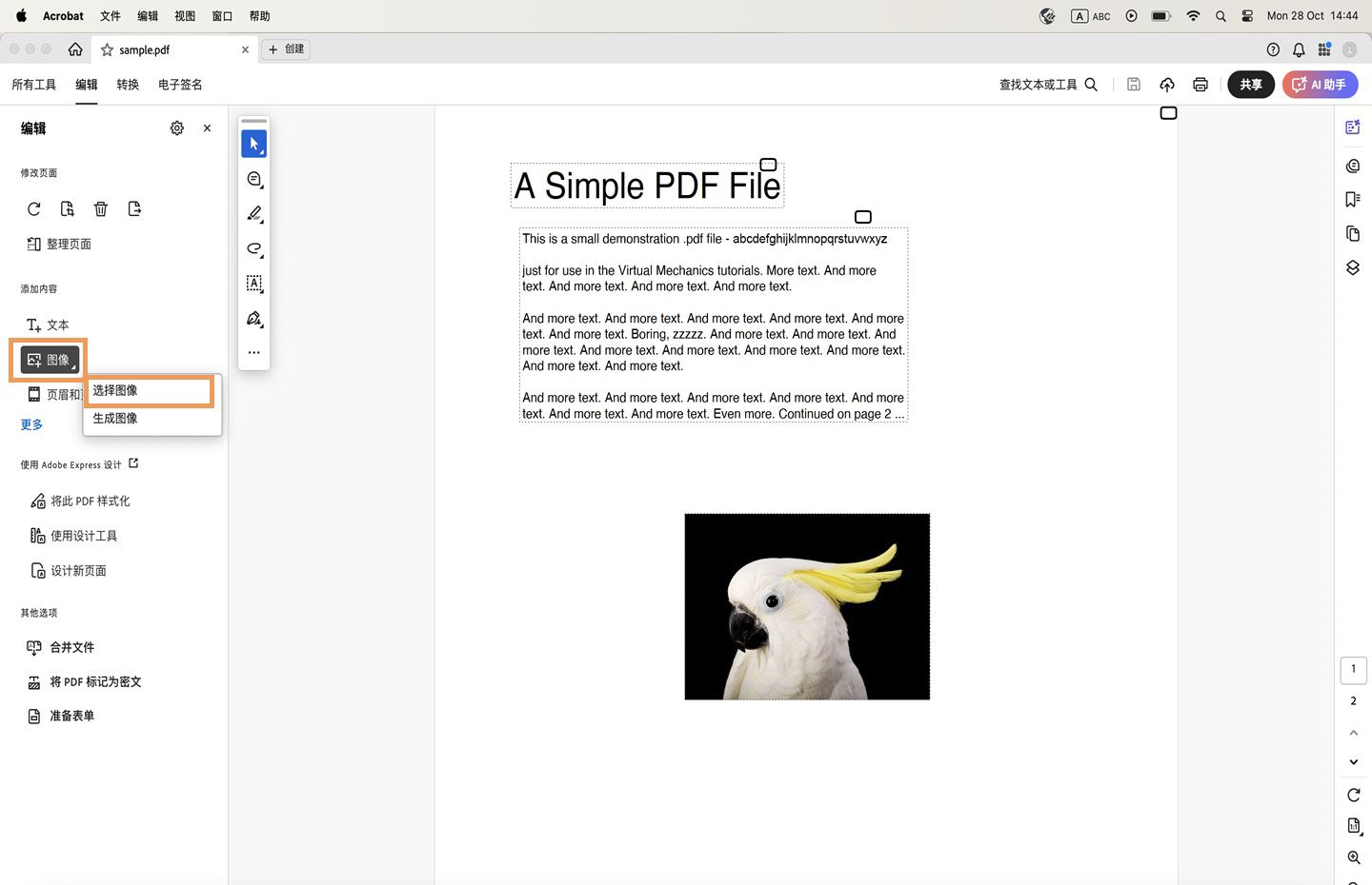 此时在 Acrobat 中打开一个 PDF，并突出显示“选择图像”选项。