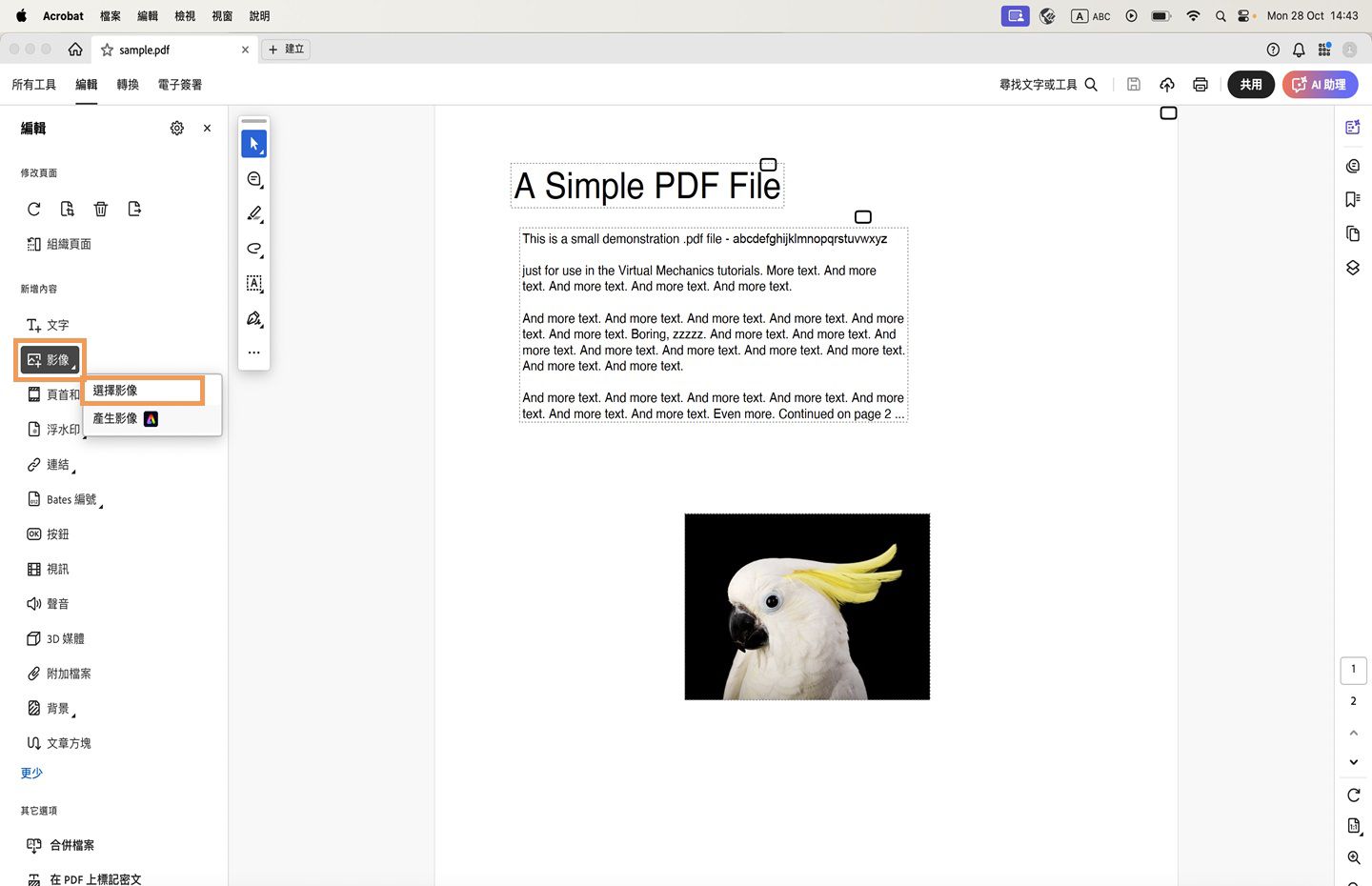 在 Acrobat 中開啟 PDF，且強調顯示「選擇影像」選項。