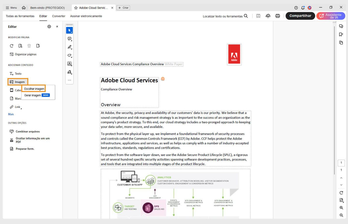 Um PDF aberto no Acrobat com a opção Escolher imagem realçada.